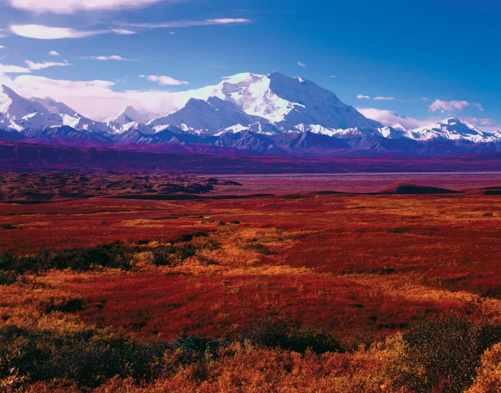 Denali National Park, Alaska