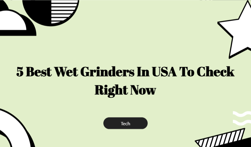 5 Best Wet Grinders In Usa To Check Right Now