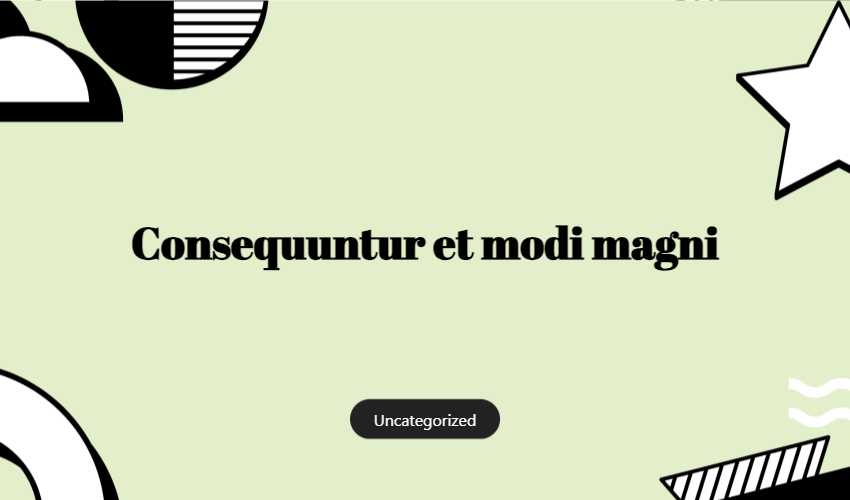 Consequuntur Et Modi Magni