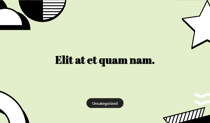 Elit At Et Quam Nam.