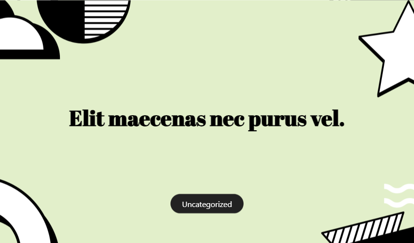 Elit Maecenas Nec Purus Vel.