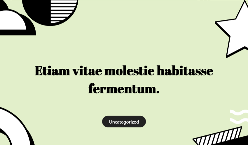 Etiam Vitae Molestie Habitasse Fermentum.