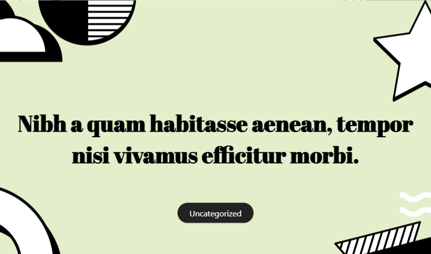 Nibh A Quam Habitasse Aenean, Tempor Nisi Vivamus Efficitur Morbi.