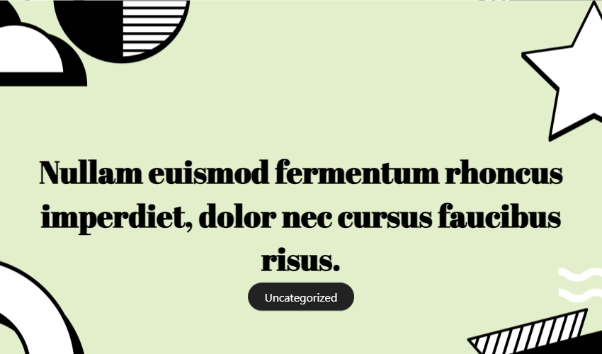 Nullam Euismod Fermentum Rhoncus Imperdiet, Dolor Nec Cursus Faucibus Risus.