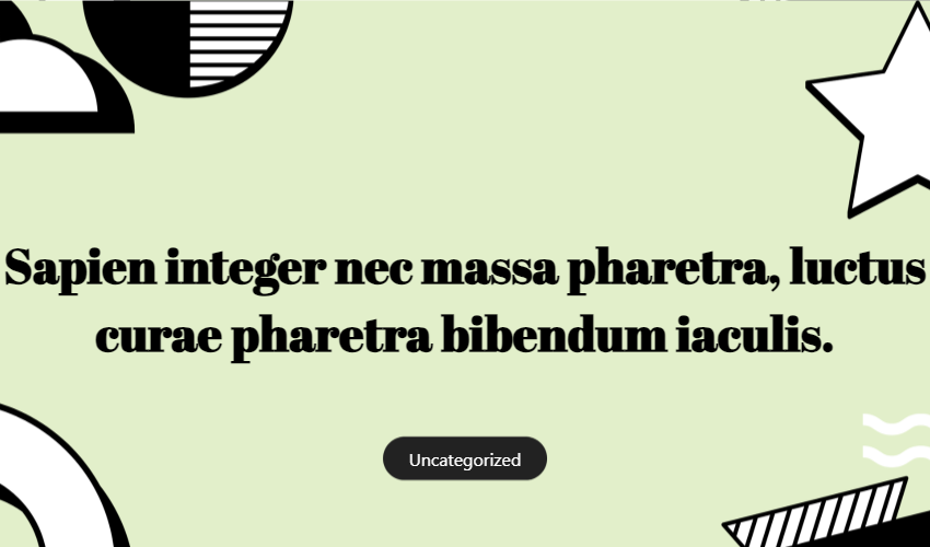 Sapien Integer Nec Massa Pharetra, Luctus Curae Pharetra Bibendum Iaculis.